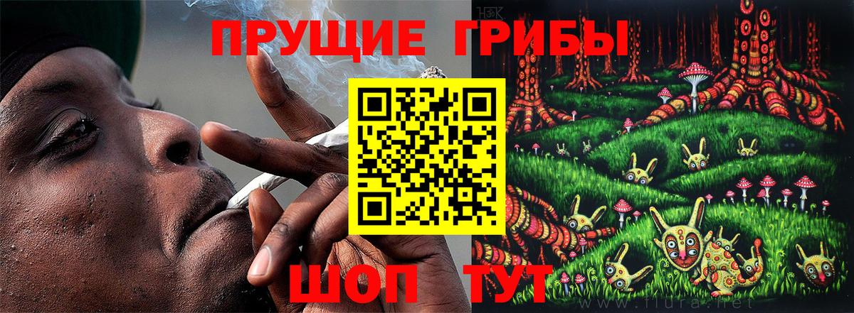 Галлюциногенные грибы MAGIC MUSHROOMS  Псилоцибиновые грибы Cubensis  Вход с VPN  Нижнеудинск 