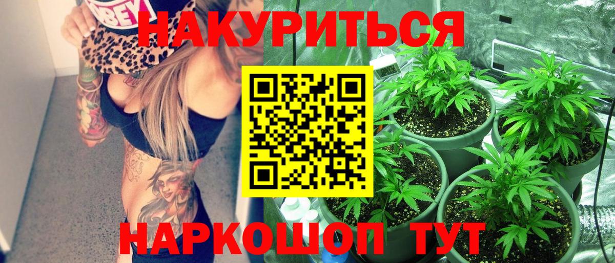Бошки Шишки гибрид  МАРИХУАНА VHQ  Вход с VPN  Каннабис SATIVA & INDICA  МАРИХУАНА White Widow  Нижнеудинск 